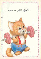Delcampe - Carte Postale - Animaux - Chats - Dessin - Carte Neuve - CPM - Voir Scans Recto-Verso - Poscard - Carta Postal -  Postka - Katten