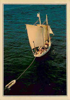 Delcampe - Carte Postale - Bateaux - Voiliers - Vieux Gréements - CPM - Voir Scans Recto-Verso - Poscard - Carta Postal -  Postkart - Segelboote