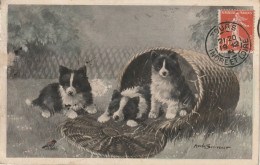 Delcampe - CHIENS.. CPA. ILLUSTRATION MAUD SCRIVENER. " CHIENS OBSERVANT UN OISEAU ". ANNEE 1908 + TEXTE - Chiens