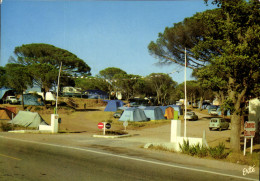 Delcampe - CPSM Camping Bellevue Frejus Var - Frejus