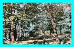 Delcampe - A831 / 401 95 - MONTMORENCY Foret Route De Sainte Radegonde - Montmorency
