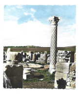 Delcampe - Maroc Pittoresque - Ruines Romaines De Volubilis - Autres & Non Classés