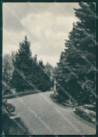 Delcampe - Como Solbiate FG Cartolina KB3169 - Como