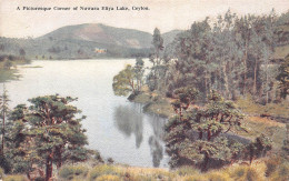 Delcampe - A778 Ceylon Sri Lanka Picturesque Corner Nuwara Eliya Lake Vintage Postcard - Welt