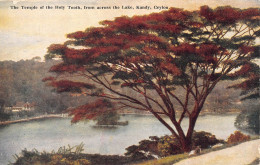 Delcampe - A778 Sri Lanka Ceylon Temple Of Holy Tooth Across Lake Kandy Postcard - Welt