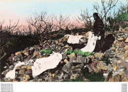 Delcampe - ALGERIE - S01644 - La Kabylie - Séchage Des Hardes - CPSM 14x9 Cm - - Szenen