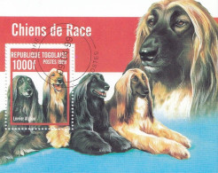 Delcampe - TOGO Block 439,used - Chiens