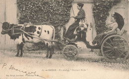 Delcampe - Ariège * Un Attelage Nouveau Siècle * Vache Boeuf * Femme Cocher - Sonstige & Ohne Zuordnung