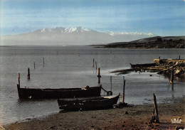 Delcampe - 11-LEUCATE-N°T2685-C/0079 - Leucate