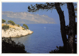 Delcampe - 13-CASSIS-N°T2688-D/0183 - Cassis