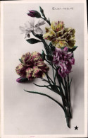Delcampe - CPA Fantaisie Fleurs Oeillet Fidelite - Sonstige & Ohne Zuordnung