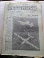 Delcampe - LES AILES - Avion