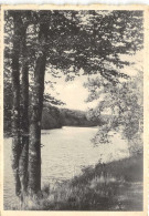 Delcampe - Habay-la-Neuve – Vue Sur Le Lac Du Pont D'Oye - Habay