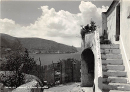 Delcampe - Palinuro (Salerno) – Casetta Palinurese - Salerno