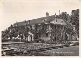 Delcampe - Chalet De La Lignière – Gland - Gland