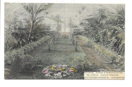 Delcampe - Vilvoorde - Staat Tuinbouwschool - Wintertuin (in Kleur). - Vilvoorde