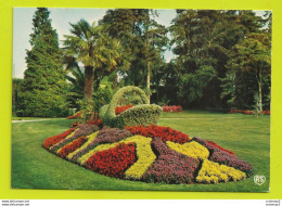 Delcampe - 85 Luçon N°51 Jardin Dumaine N°159 Le Panier Fleuri VOIR DOS - Lucon