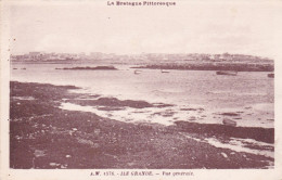 Delcampe - PLEUMEUR-BODOU -22- 2 CPA - ILE GRANDE - Vue Sur La Côte De Trebeurden - Les Bateaux De Pêche Et Vue Générale -16-03-24 - Pleumeur-Bodou