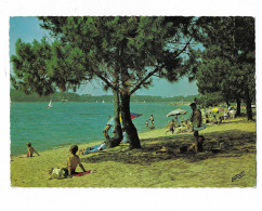 Delcampe - 40 HOSSEGOR Les Bords Du Lac - Hossegor