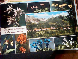 Delcampe - Garna D'Alpago Fraz. Di Pieve D'Alpago (Belluno) Panorama Estivo E Flora, Summer View And Flora   VB1967  KS4898 - Belluno