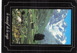 Delcampe - 38 GRENOBLE SOCIETE DE MONTAGNE - Grenoble