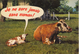 Delcampe - ANIMAUX  LES VACHES - Kühe
