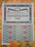 Delcampe - - ACTION SOCIÉTÉ DES PÉTROLES DE DABROWA - - Aardolie