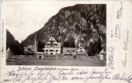 Delcampe - Schloss Leopoldstein Bei Radmer - Litho - Leoben