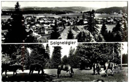Delcampe - Saignelegier - Saignelégier