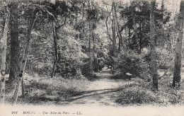 Delcampe - 17 ROYAN UNE ALLEE DU PARC - Royan