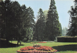 Delcampe - 38 VOIRON LE JARDIN DE VILLE - Voiron