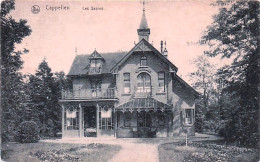 Delcampe - KAPELLEN - CAPPELLEN - Les Sapins - Kapellen
