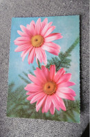 Delcampe - Fleurs - Blumen