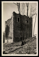Delcampe - AK Muttenz, Wartenberg, Mittlere Ruine, Restauriert 1934 - Muttenz