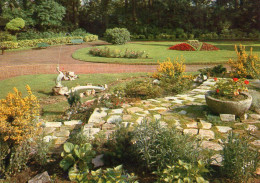 Delcampe - CP 62 Pas De Calais Arras Jardin Du Gouverneur La Rocaille - Arras