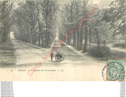 Delcampe - 62.  ARRAS . Avenue Des Promenades . - Arras