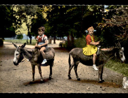 Delcampe - ANIMAUX - ANES - PROMENADE A VICHY - Esel