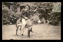 Delcampe - ANIMAUX - ANES - Esel