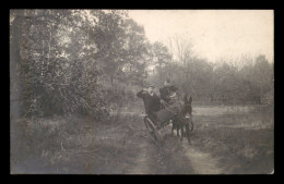 Delcampe - ANIMAUX - ANES - ATTELAGE - CARTE PHOTO ORIGINALE - Esel