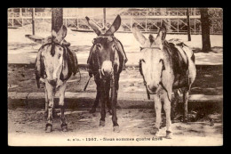 Delcampe - ANIMAUX - ANES - Esel