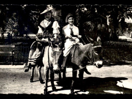 Delcampe - ANIMAUX - ANES - PROMENADE A NICE - Esel