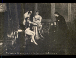 Delcampe - PUZZLES - NAPOLEON - COMTESSE DE BONCHAMPS - Geschichte