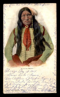 Delcampe - INDIENS - KICKING BEAR - Indianer