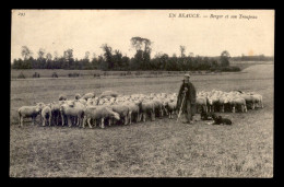 Delcampe - AGRICULTURE - EN BEAUCE - BERGER ET SON TROUPEAU - Viehzucht
