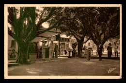 Delcampe - SPORTS - PETANQUE - DAKAR (SENEGAL) - LE JEU DE BOULES DE LA MAIRIE - Boule/Pétanque