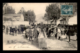 Delcampe - MILITARIA - REGIMENTS - CHASSEURS ALPINS ET CHEVAUX A L'ABREUVOIR - PHOTO CAUVIN NICE - Regimente