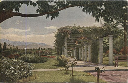 Delcampe - X123460 ARGENTINE ARGENTINA MENDOZA PASEO DEL ROSEDAL EN EL PARQUE - Argentinien