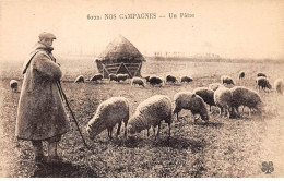 Delcampe - Agriculture - N°77658 - Nos Campagnes - Un Pâtre - Viehzucht