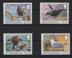 Delcampe - Montserrat - 1997 Birds MNH__(TH-28540) - Montserrat