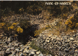 Delcampe - 56-LOCMARIAQUER-N°C-4346-D/0251 - Locmariaquer